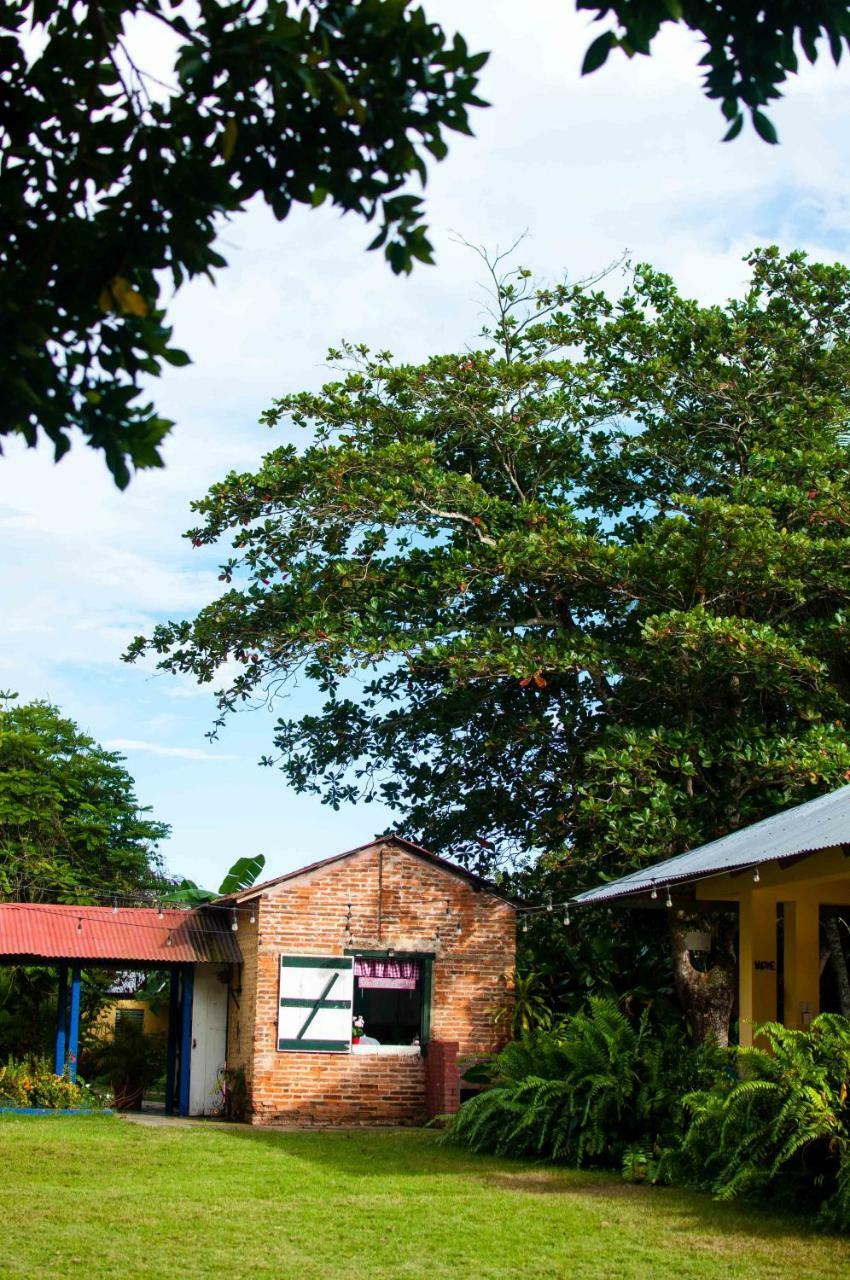 イグエイ Campito Loving Bed & Breakfast エクステリア 写真