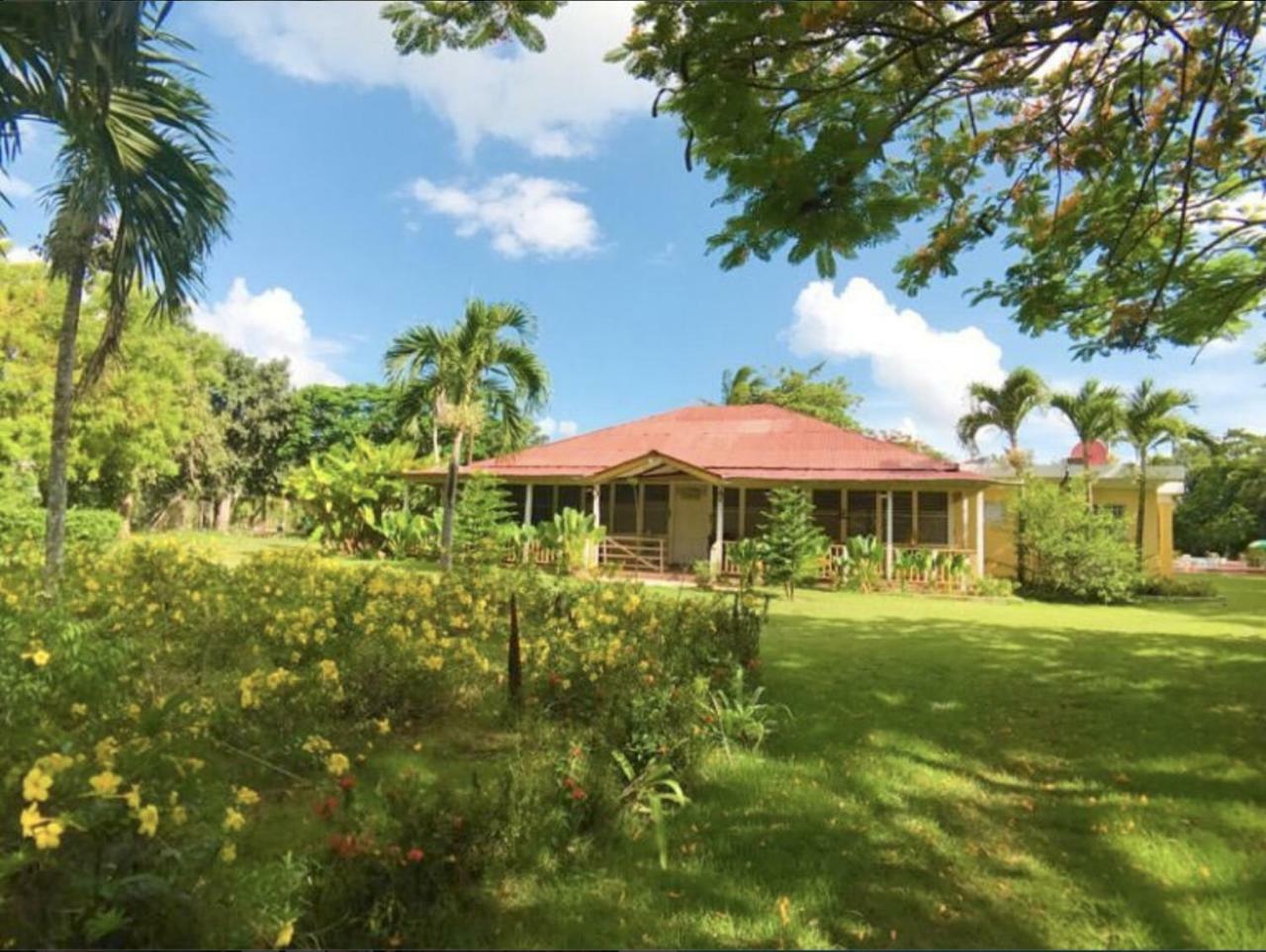 イグエイ Campito Loving Bed & Breakfast エクステリア 写真