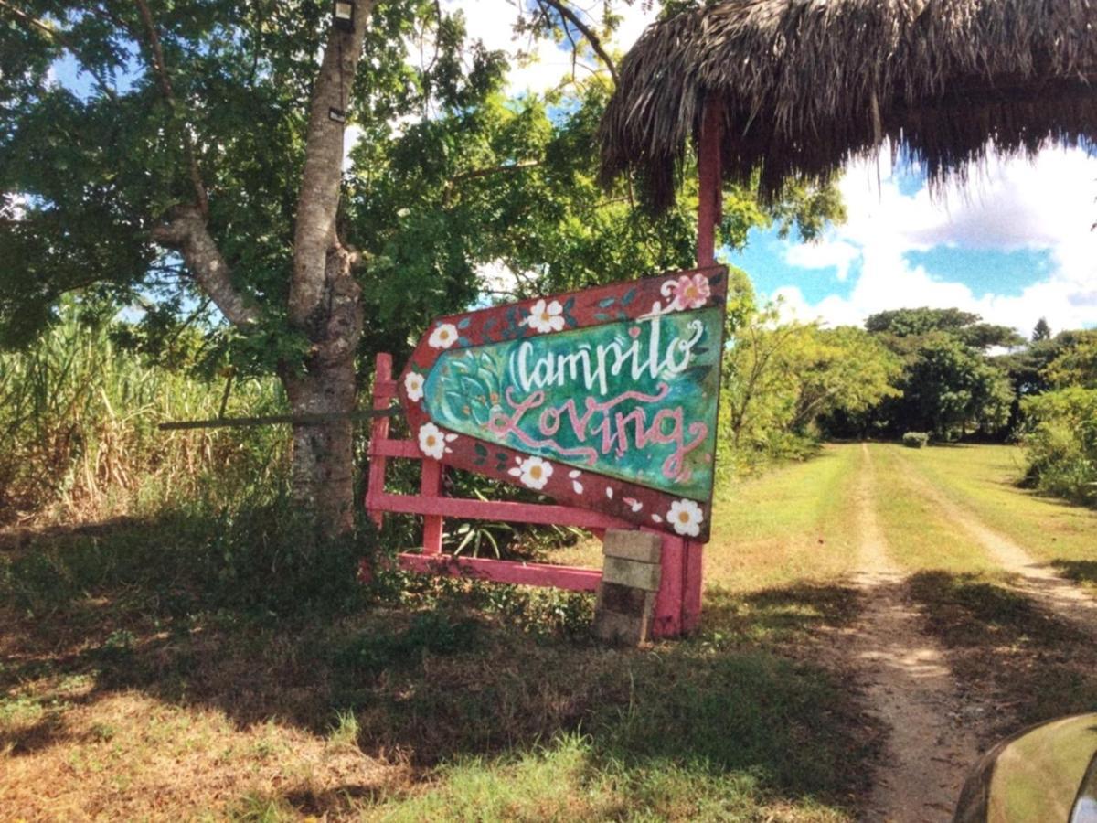 イグエイ Campito Loving Bed & Breakfast エクステリア 写真